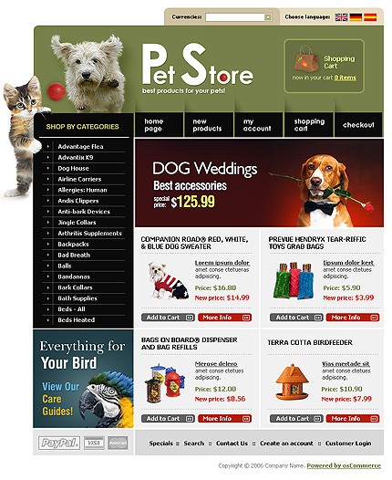NetSuite Ecommerce Template 0010177