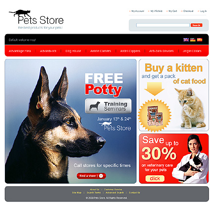 NetSuite Ecommerce Template 0022813