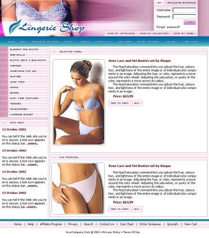 NetSuite Ecommerce Template 001633b