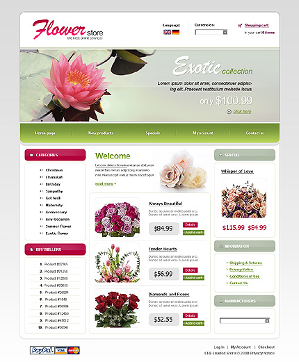 NetSuite Ecommerce Template 0020442b