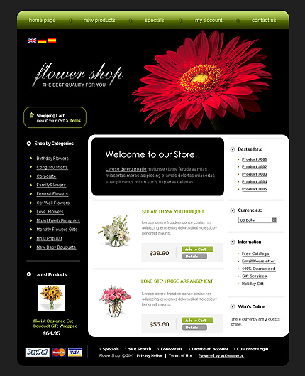 NetSuite Ecommerce Template 0022557b