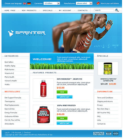 NetSuite Ecommerce Template 0017458b