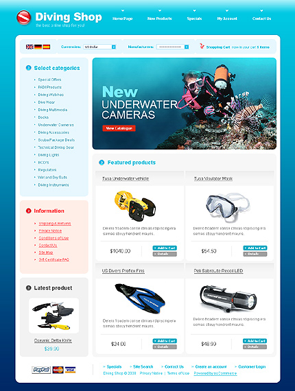 NetSuite Ecommerce Template 0021911b