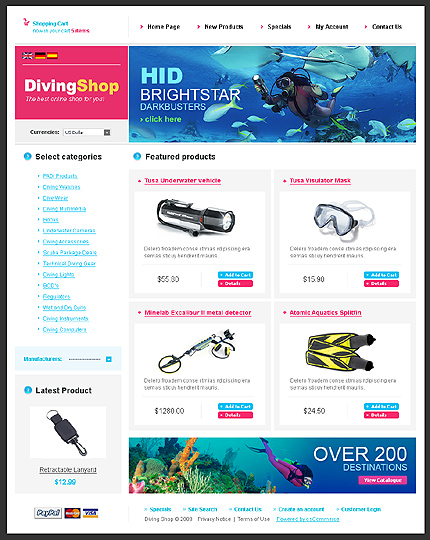 NetSuite Ecommerce Template 0022304b